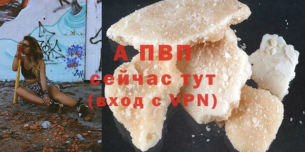 стаф Анжеро-Судженск