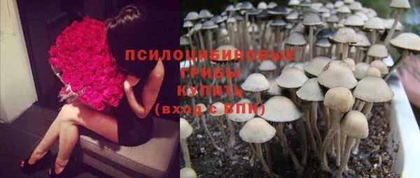 прущая мука Магас